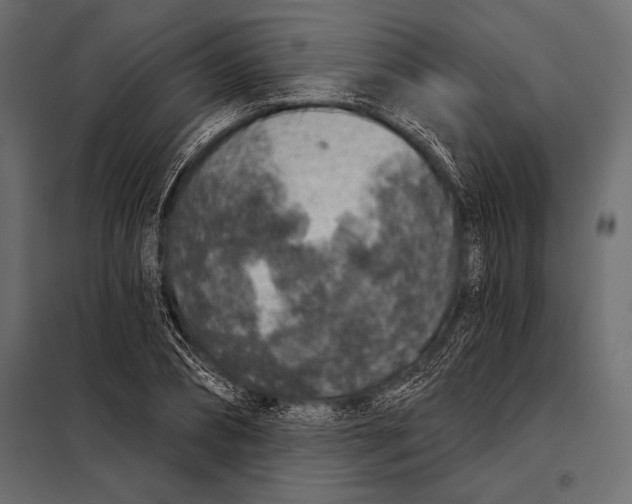 X0000098070882200804251436