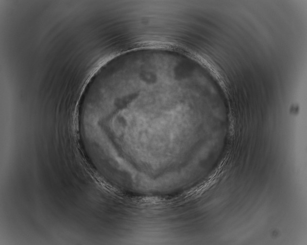 X0000098070883200804251436