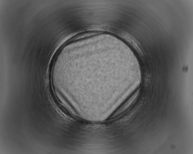 X0000098070884200804251436