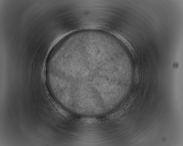 X0000098070886200804251436