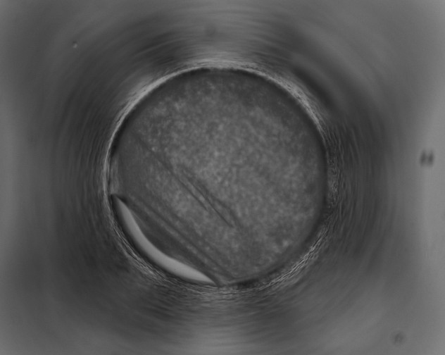 X0000098070887200804251436