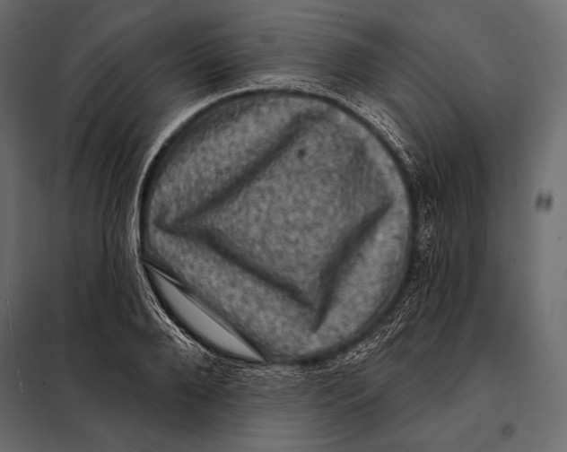 X0000098070888200804251436