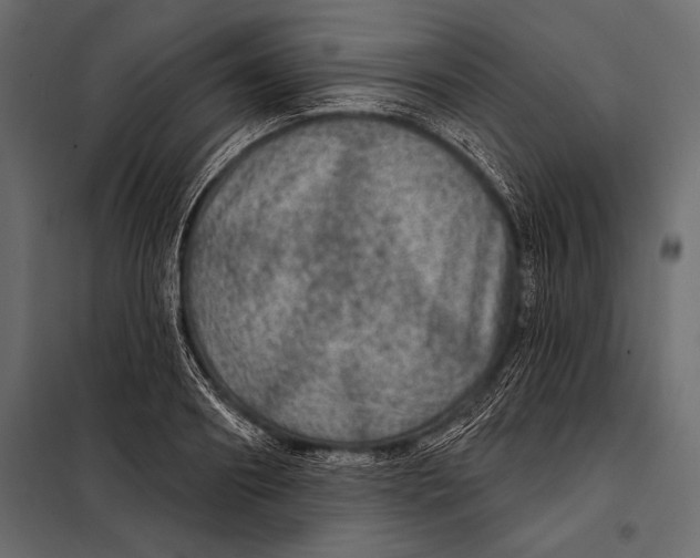 X0000098070890200804251435