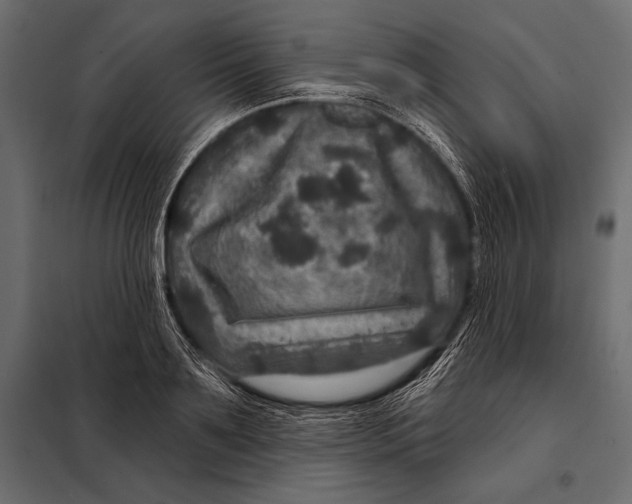 X0000098070891200804251435