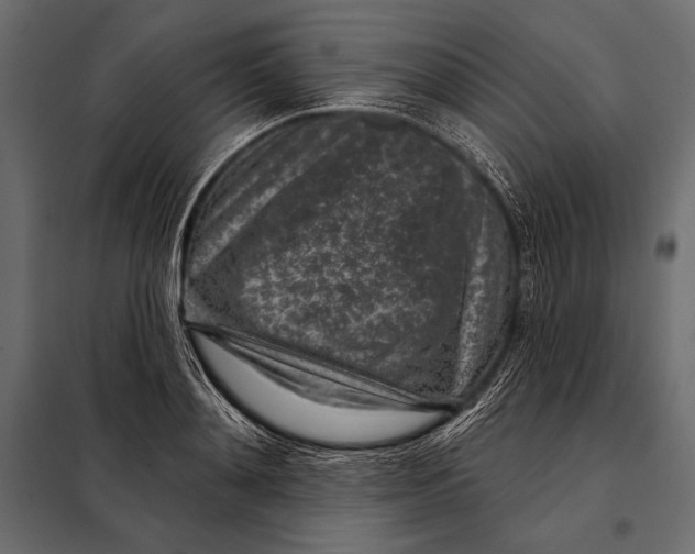 X0000098070892200804251435