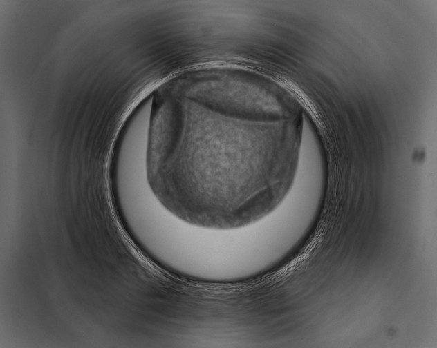 X0000098070893200804251435