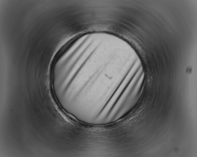 X0000098070894200804251435