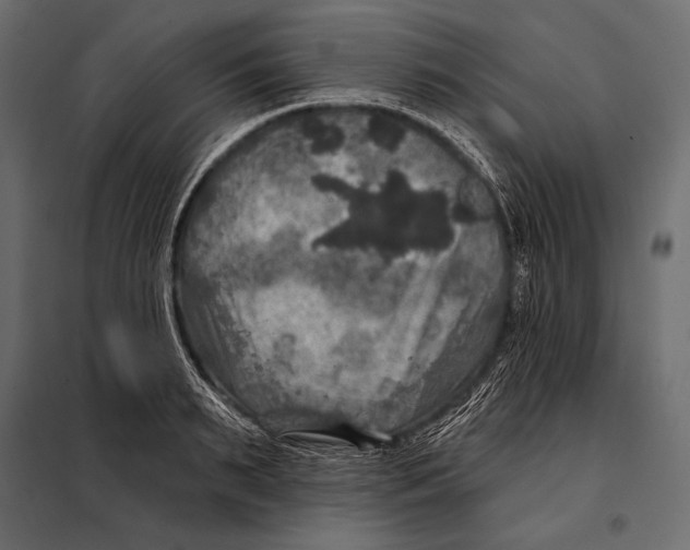 X0000098070895200804251435