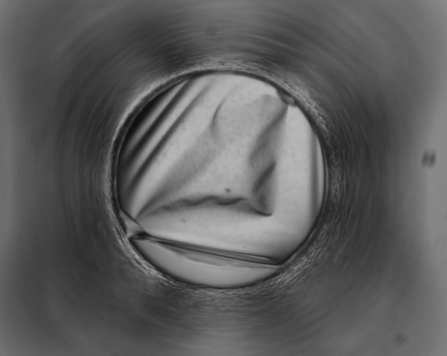 X0000098070896200804251435