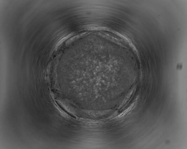 X0000098070897200804251435