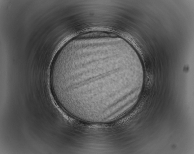 X0000098070898200804251435