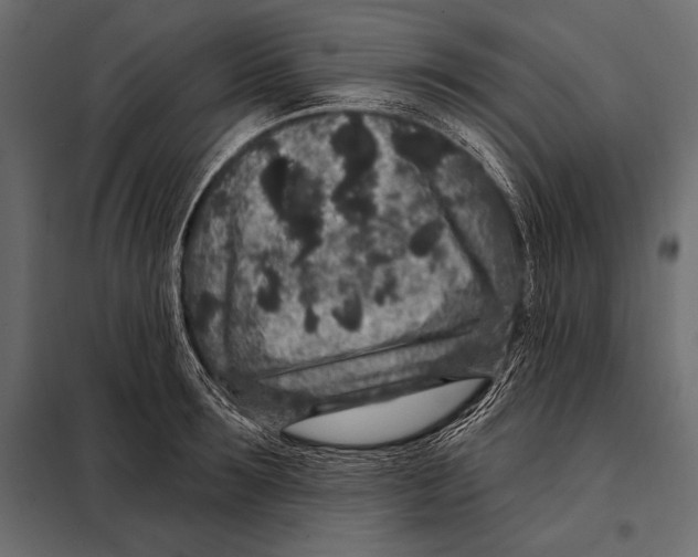 X0000098070899200804251435