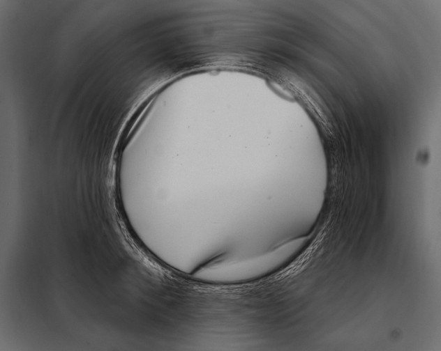 X0000098070900200804251435