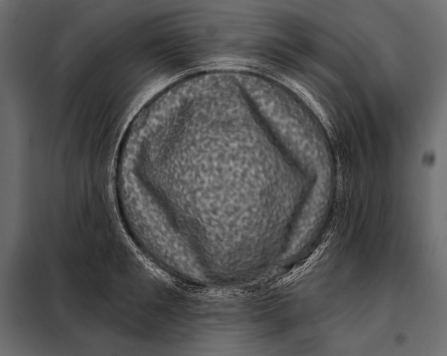 X0000098070901200804251435