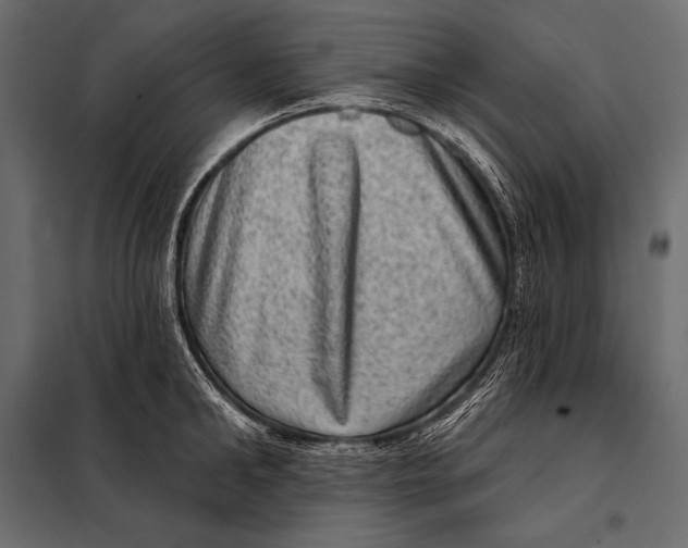 X0000098070902200804251435