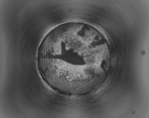 X0000098070903200804251435