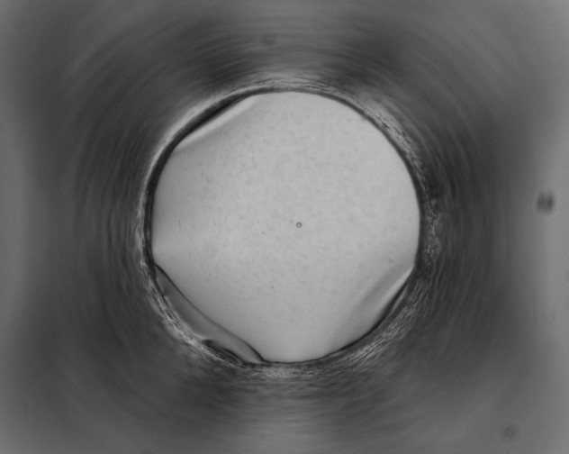 X0000098070904200804251435