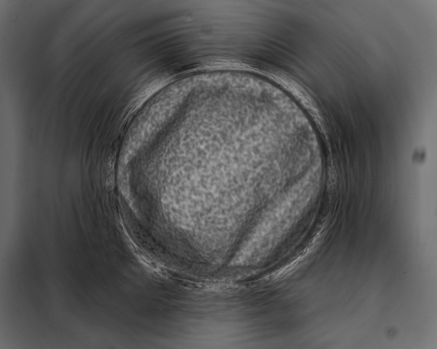 X0000098070905200804251435