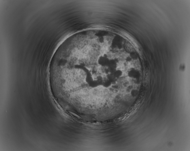 X0000098070907200804251435