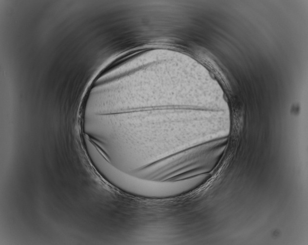 X0000098070908200804251435