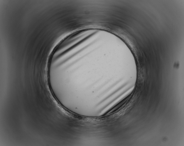 X0000098070910200804251435