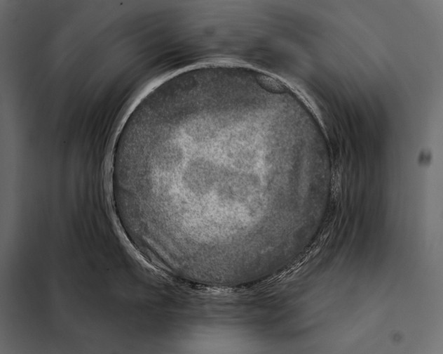 X0000098070911200804251435