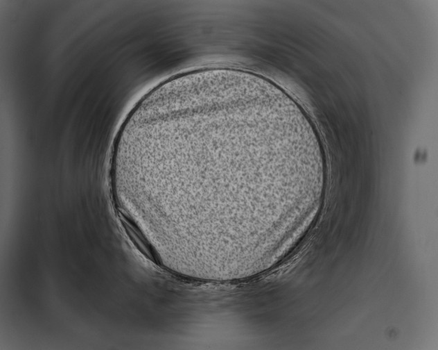 X0000098070912200804251435