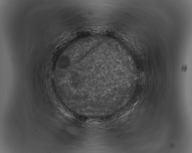 X0000098070913200804251434