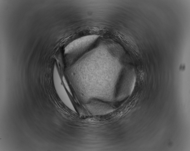 X0000098070914200804251434