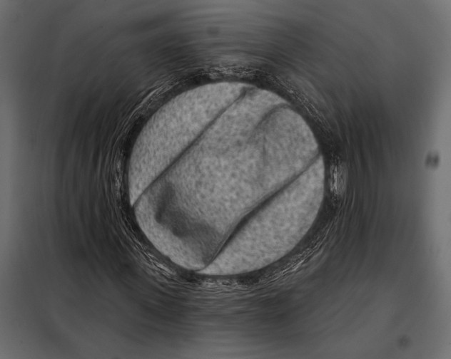 X0000098070915200804251434