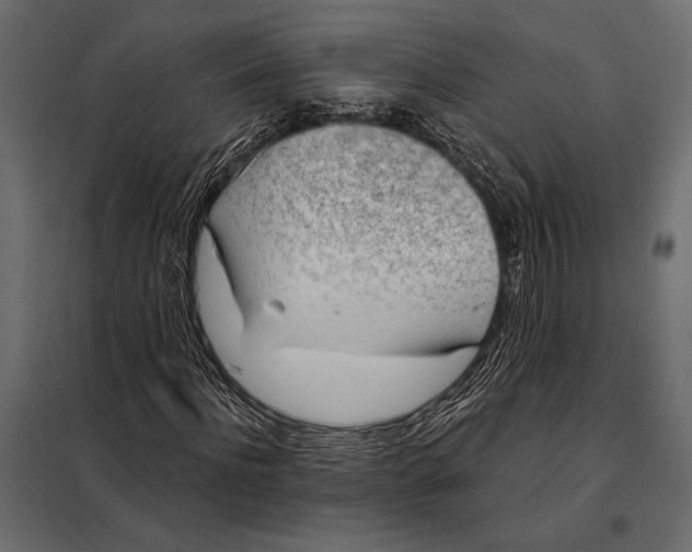 X0000098070916200804251434