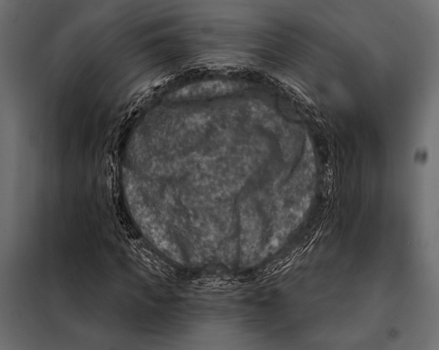 X0000098070917200804251434