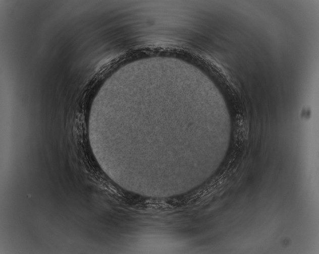 X0000098070918200804251434