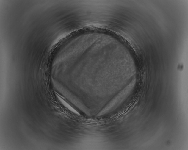 X0000098070919200804251434