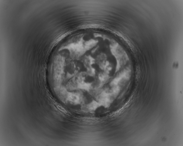 X0000098070921200804251434