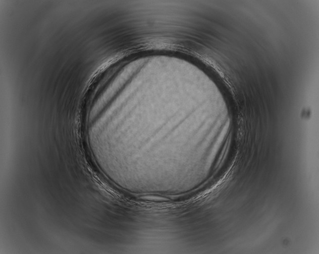 X0000098070922200804251434