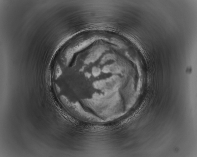 X0000098070925200804251435