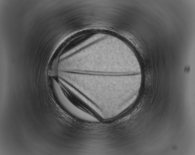 X0000098070926200804251435