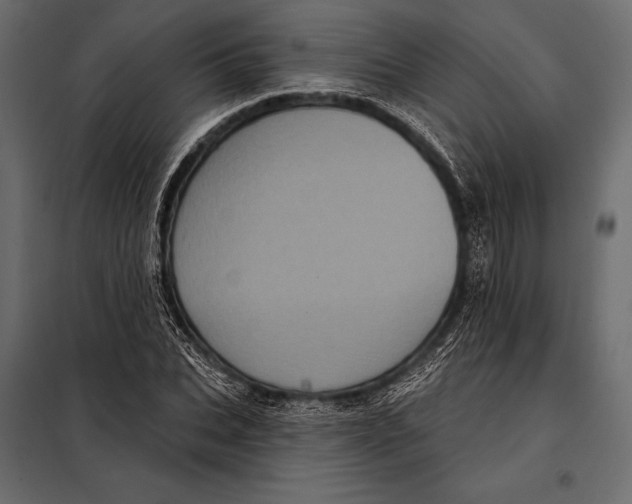 X0000098070927200804251435