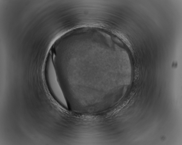 X0000098070928200804251435