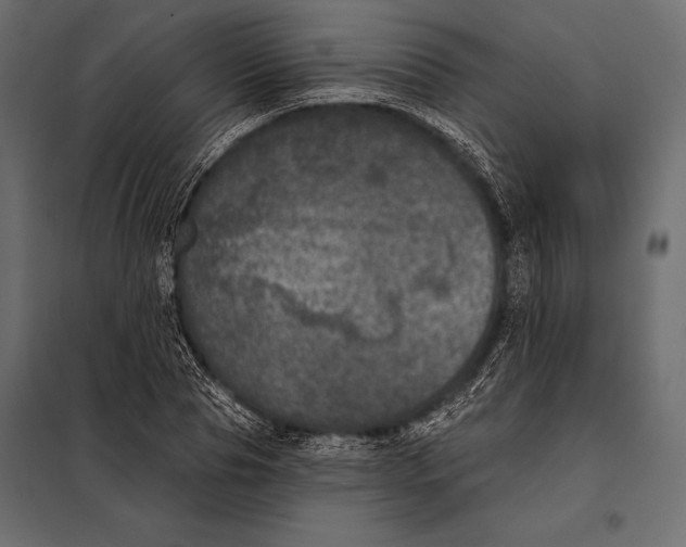 X0000098070929200804251435