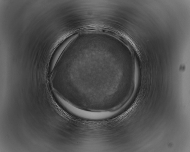 X0000098070930200804251435