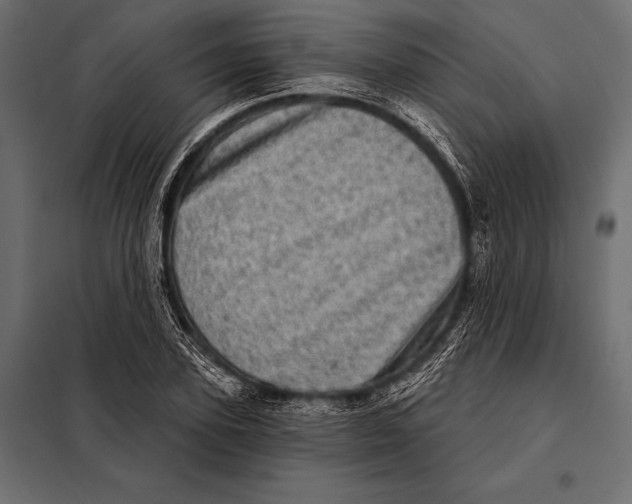 X0000098070931200804251435