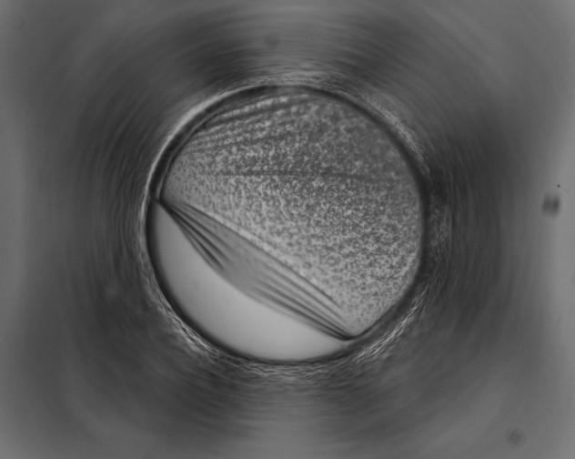 X0000098070932200804251435