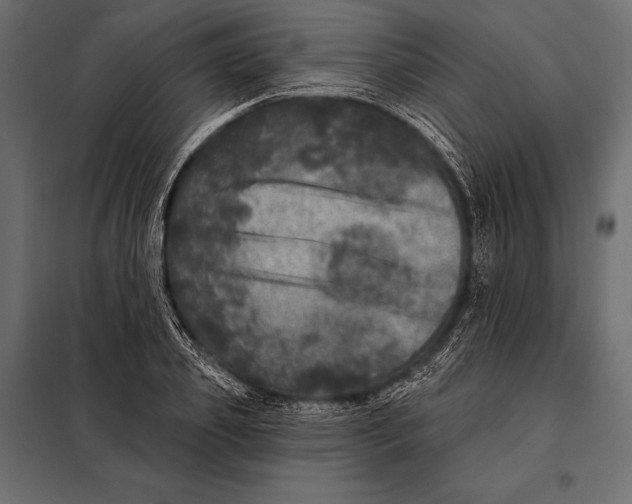 X0000098070933200804251435