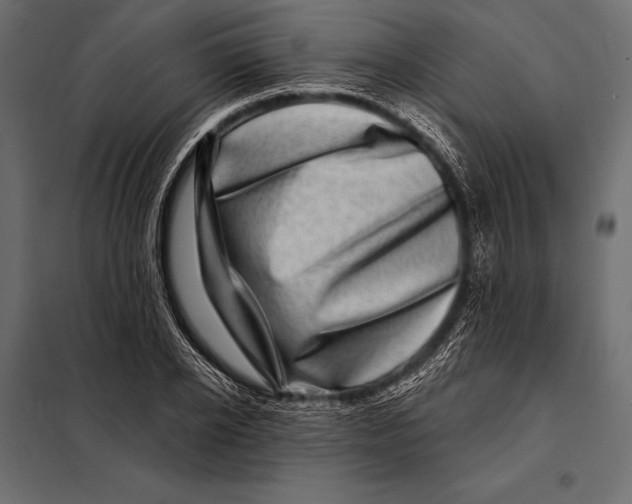 X0000098070934200804251435