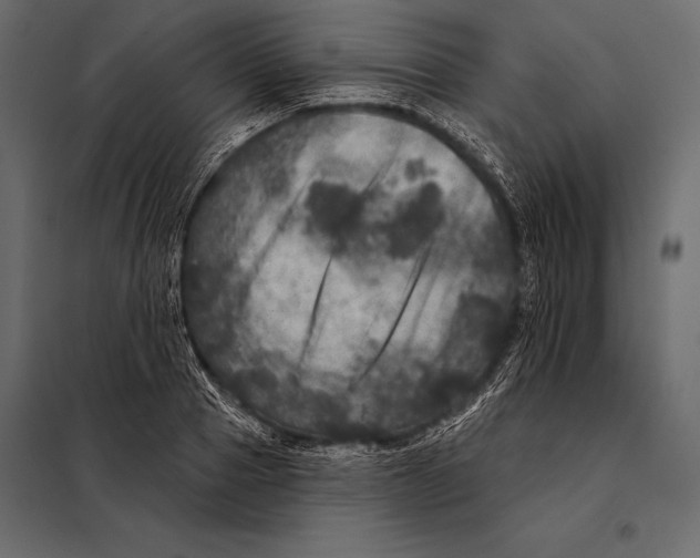 X0000098070937200804251435