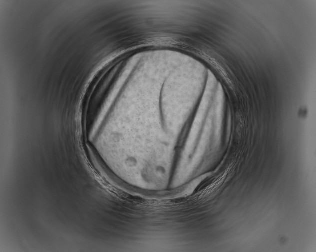 X0000098070939200804251435