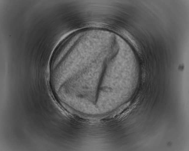 X0000098070940200804251435