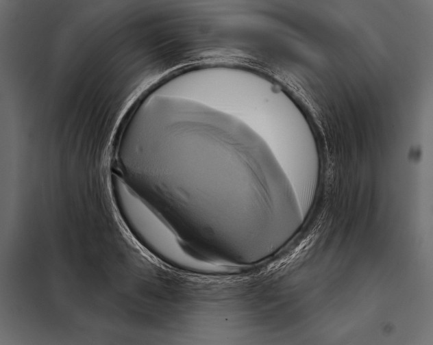 X0000098070941200804251435